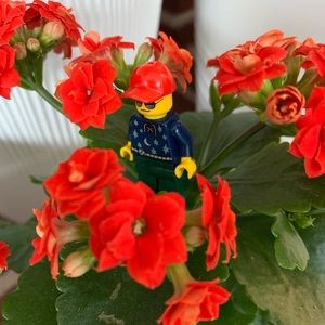 Meet your Posher, Suzanne